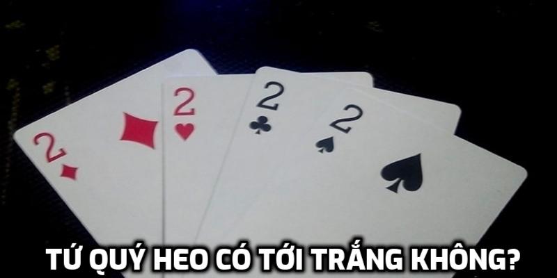 tứ quý heo có tới trắng không